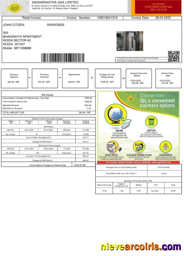 India INDRAPRASTHA GAS LIMITED utility bill